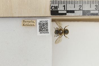 Media type: image;   Entomology 792443 Aspect: Labels